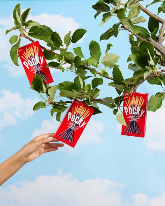 Three Pocky chocolate biscuit stick boxes hang on a tree branch with green leaves against a blue cloudy sky, a hand reaching up.