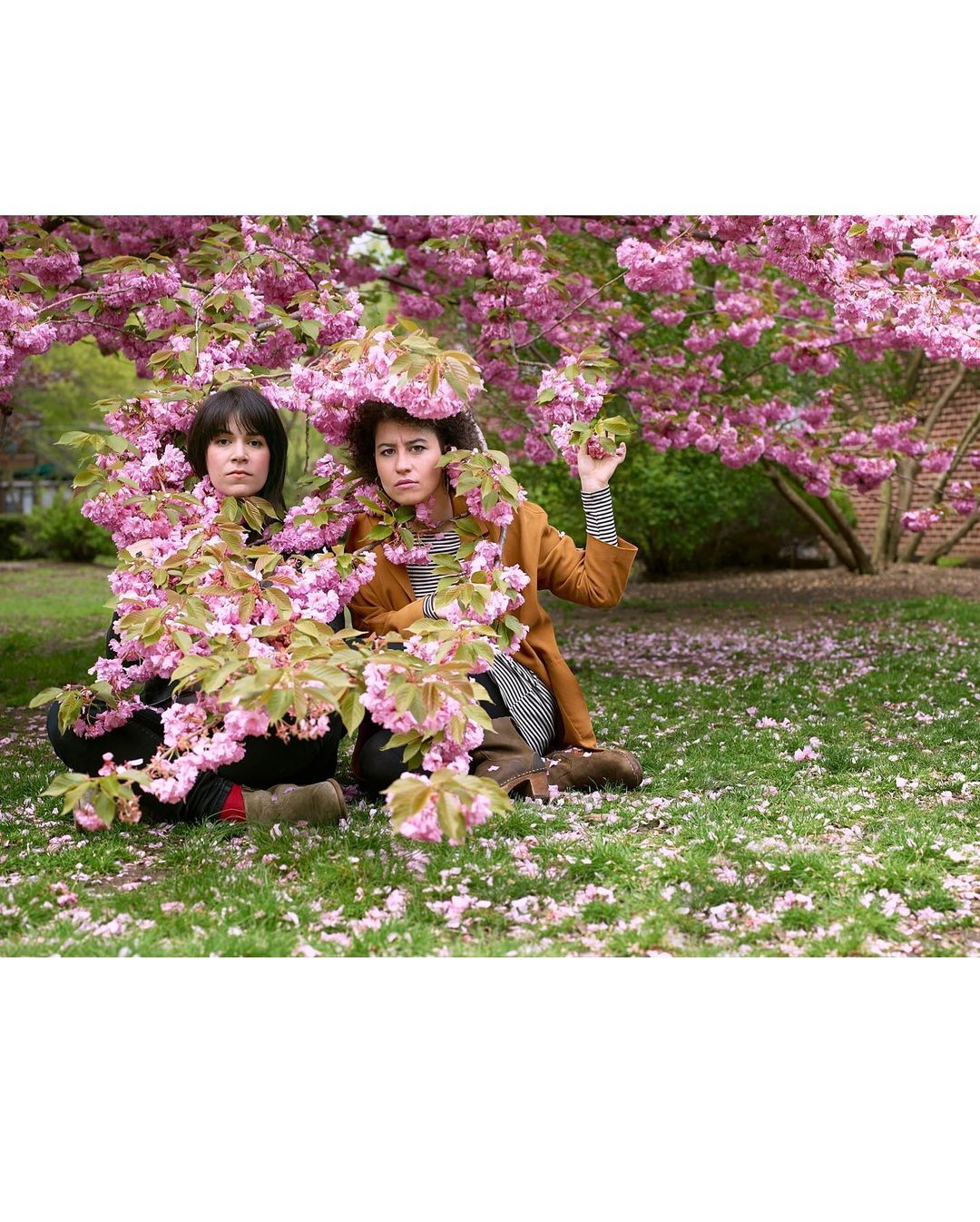 Two young women amidst pink blossoms in a grassy area, captured in a medium shot with springtime aesthetics.
