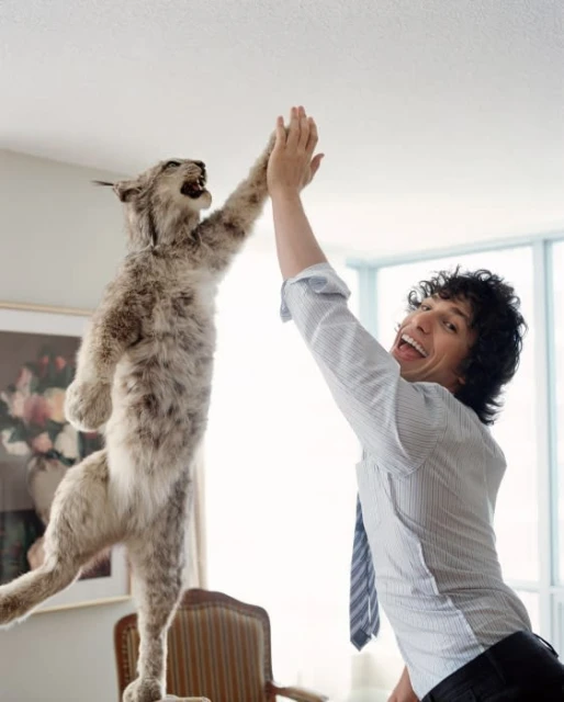 Man high-fiving a standing taxidermied bobcat in an airy interior setting, with natural light and a casual yet quirky atmosphere.