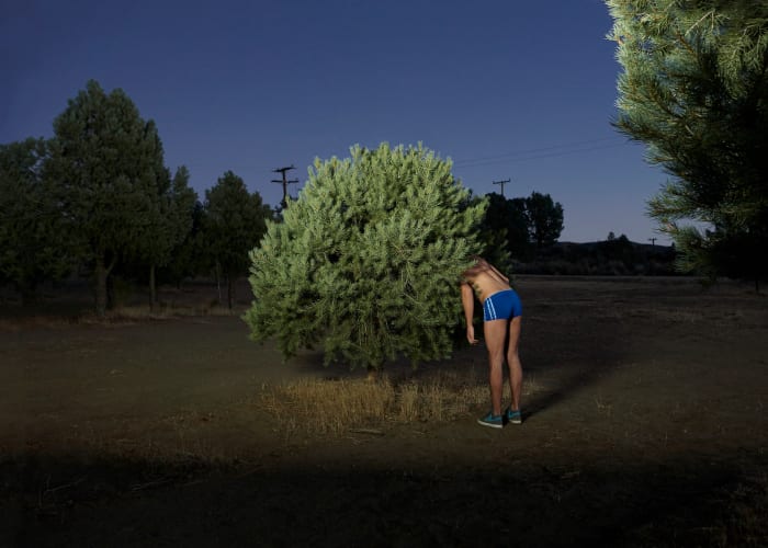 Woman in blue athletic shorts standing near a round green shrub in a grassy field under a dark blue evening sky with trees.