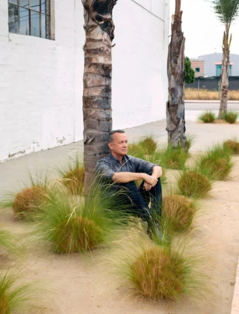 Adult male sits with crossed legs next to a palm tree surrounded by ornamental grasses in an outdoor urban setting on a sunny day.