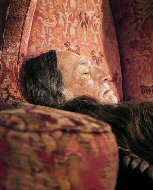 Close-up of elderly man with long gray hair resting in an armchair, eyes closed, warm lighting, soft textures, and classic design.