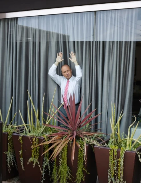 Adult male with hands up in front of a window, framed by potted plants and grey curtains, wearing a white shirt and pink tie.