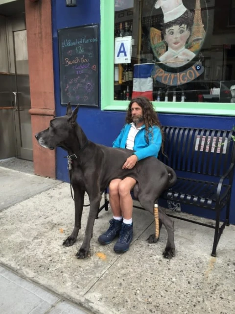 Man sits on a bench with a large grey Great Dane dog near a building with a chalkboard menu and a window display.