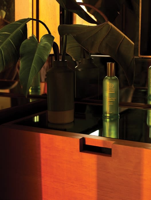 Still life of a green glass bottle of liquid on a wood surface next to potted plants, in a warm lit indoor setting.