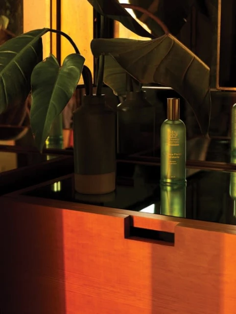 Still life of a green glass bottle of liquid on a wood surface next to potted plants, in a warm lit indoor setting.