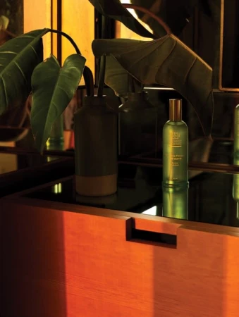 Still life of a green glass bottle of liquid on a wood surface next to potted plants, in a warm lit indoor setting.