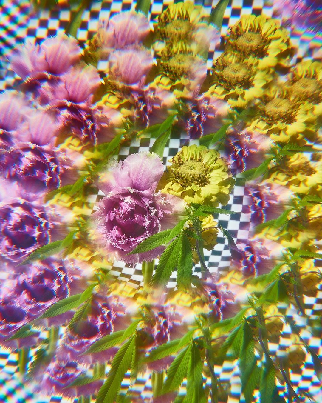 Botanical kaleidoscope image featuring lavender and yellow flowers with green foliage against a black and white checkered backdrop.