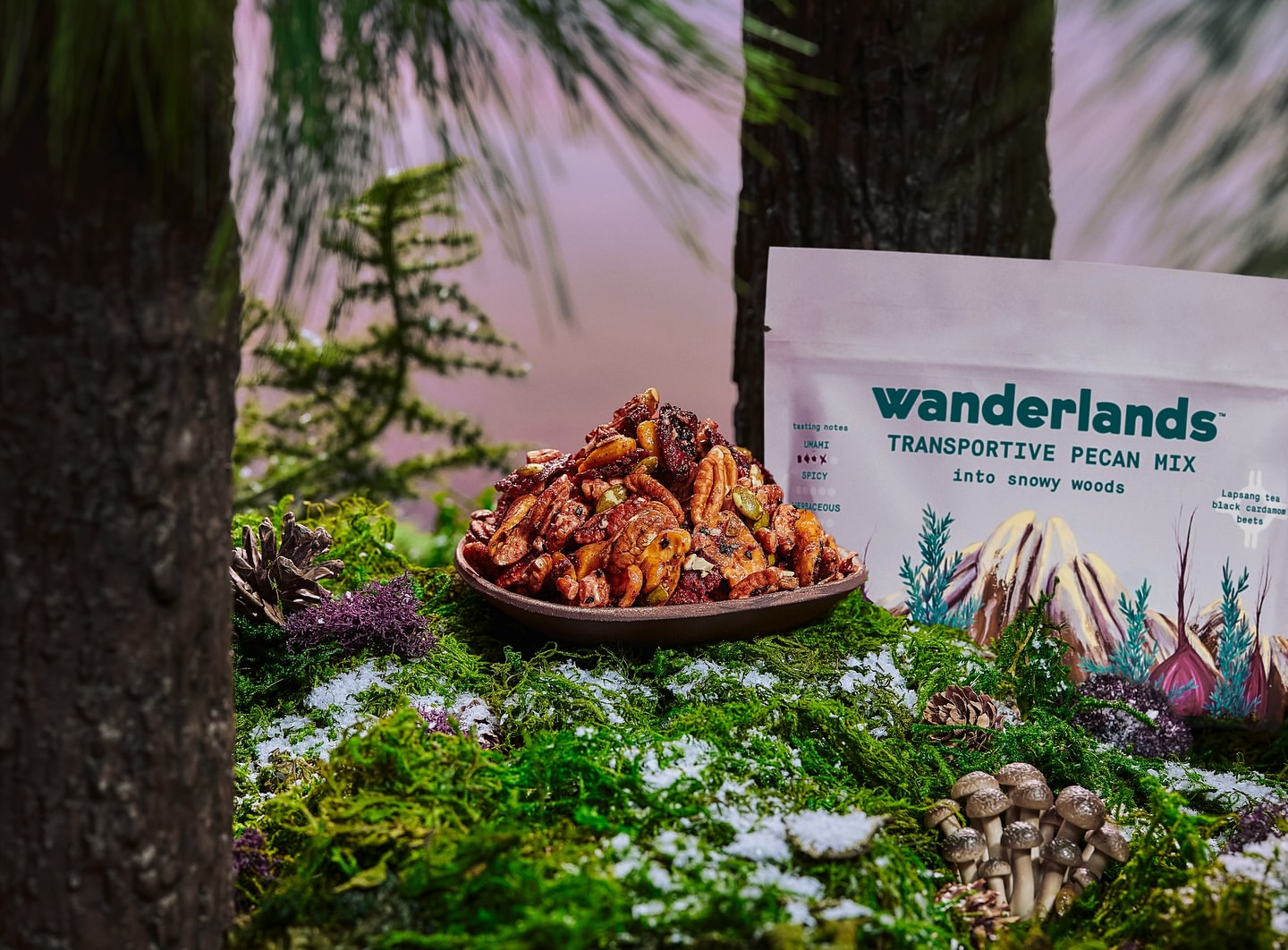 A plate of wanderlands transportive pecan mix sits on a mossy forest floor, with trees and a package of the snack visible in the background.