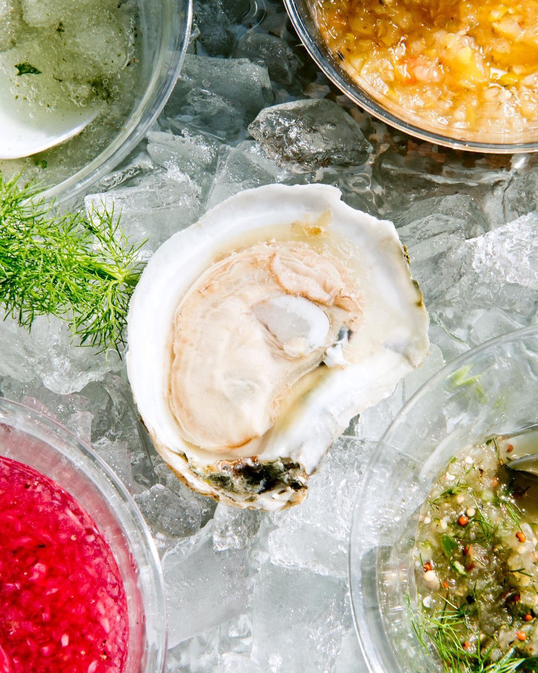 Close-up overhead shot of a fresh oyster on ice with colorful sauces and dill, highlighting fresh seafood and gourmet food presentation.