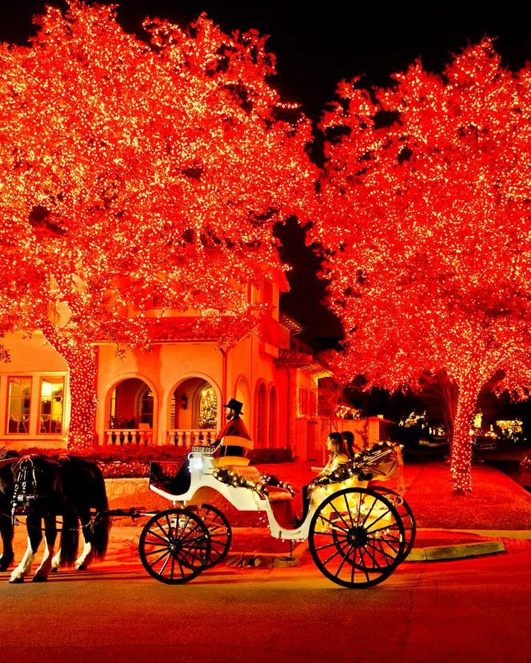 A horse-drawn carriage rides along the road, the trees and house illuminated with red lights at night, creating a festive atmosphere.