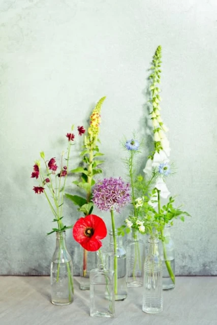 Still life arrangement of colorful flowers in glass bottles, showcasing a variety of blooms against a textured grey background.