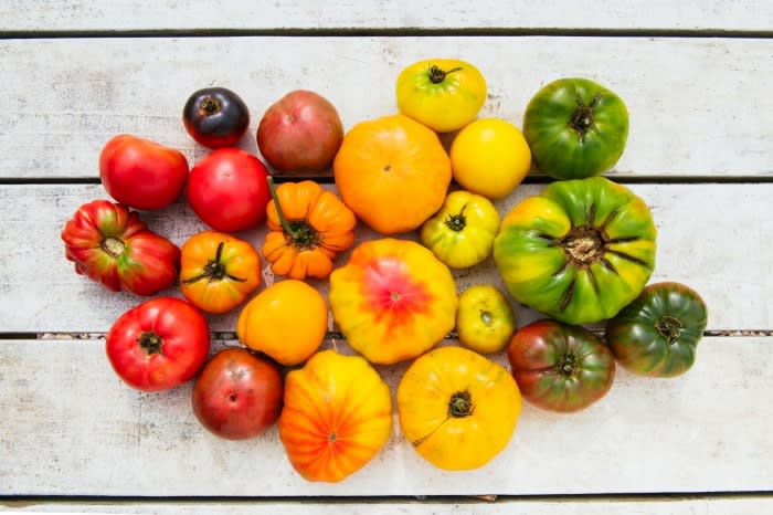 Overhead shot of assorted colorful heirloom tomatoes arranged on a white wooden surface, creating a fresh, vibrant food still life.