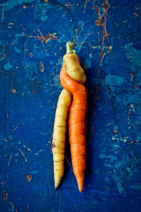 Two carrots, one orange and one yellow, intertwined on a textured blue background. Food photography showcasing fresh vegetables.