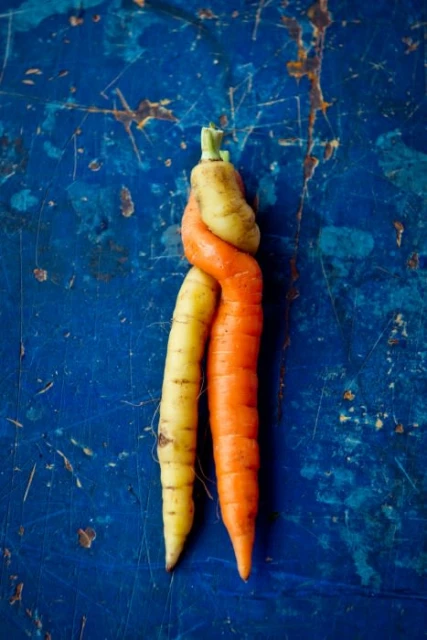Two carrots, one orange and one yellow, intertwined on a textured blue background. Food photography showcasing fresh vegetables.