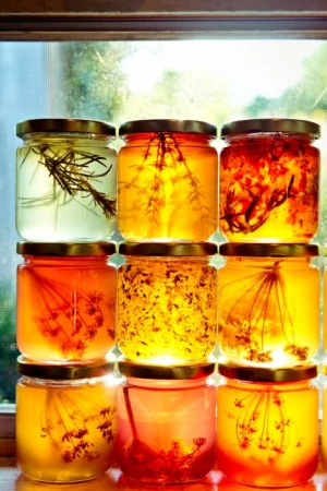 Nine jars of golden honey, each containing different herbs and spices, are stacked in a window with natural light illuminating them.