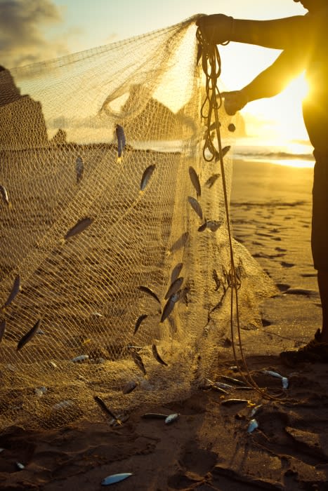 Fisherman holds a net full of fish on a sandy beach at sunset with warm light and the ocean and rocks in the background.