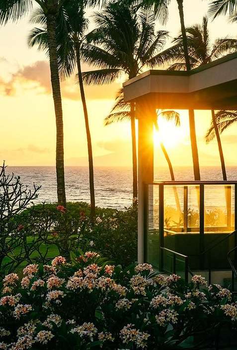 Seaside view features a sunlit building near ocean with palm trees, lush flowers, and setting sun casting a warm glow.