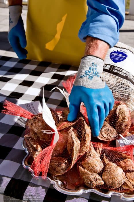 Close-up of a gloved hand selecting fresh oysters on a silver platter, set on a black and white checkered surface, food presentation.
