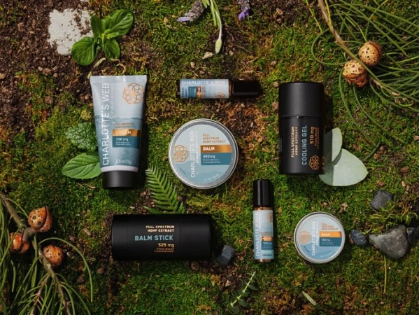 Various Charlotte's Web hemp extract products including balm sticks, cooling gel, and balm displayed on a mossy surface.