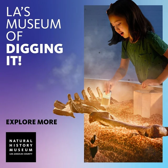 Girl excavating fossil bones at Natural History Museum. Interactive paleontology exhibit for kids. Los Angeles County museum, daytime.
