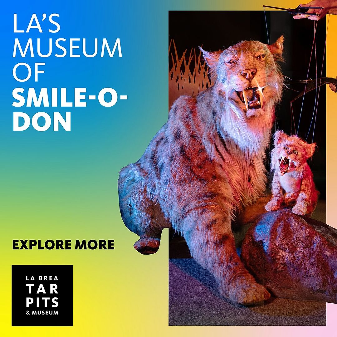 Museum display of a Smilodon (saber-toothed cat) puppet and a larger sculpture of a Smilodon, set against a colorful gradient backdrop.