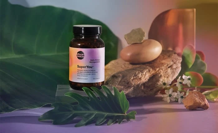 Supplement bottle on a display setting with leaves, rocks, and diffused lighting showcasing a modern approach to wellness product.