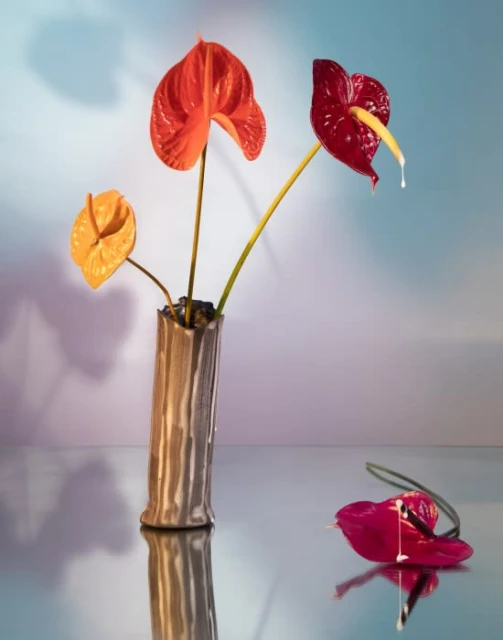 Floral still life featuring vibrant red, orange, and maroon Anthurium flowers in a textured ceramic vase against a gradient background.