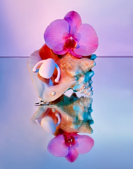 Pink orchid blossom and seashell arrangement on a reflective surface with soft pink and blue lighting creating a serene aesthetic.