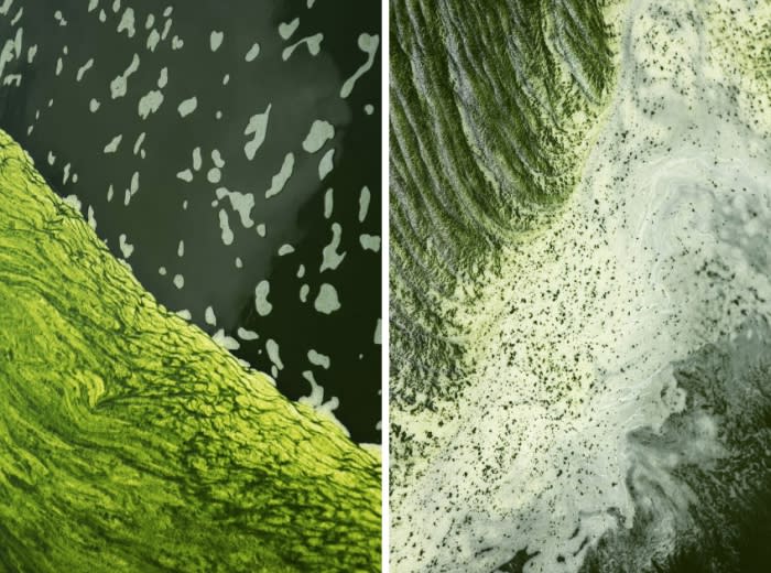 Aerial view of dark green and white foam in a body of water, creating abstract patterns and a textured surface.