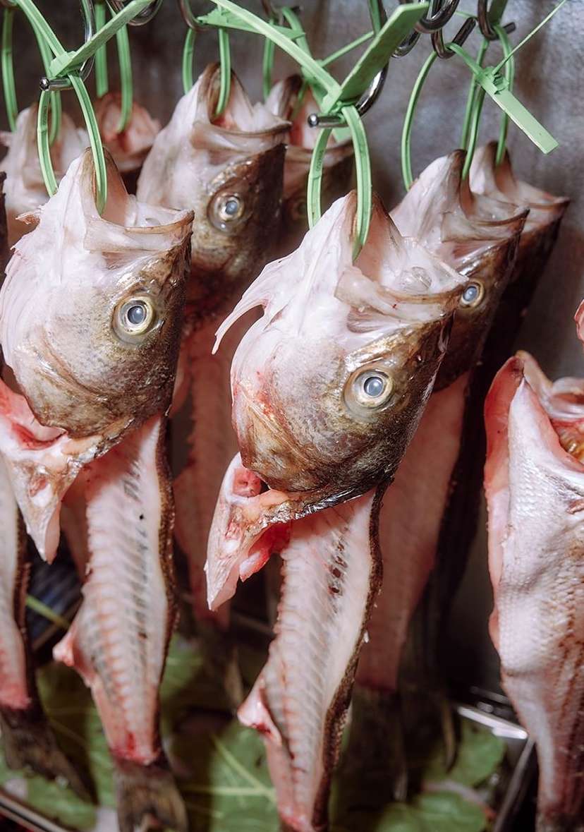 Close-up of a row of freshly caught cod fish heads hanging on metal hooks, displayed indoors in market or seafood restaurant.