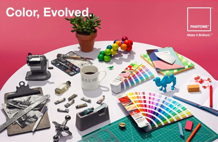 Still life of Pantone color swatches, art supplies, and a succulent on a white table against a pink background. Branding is visible.