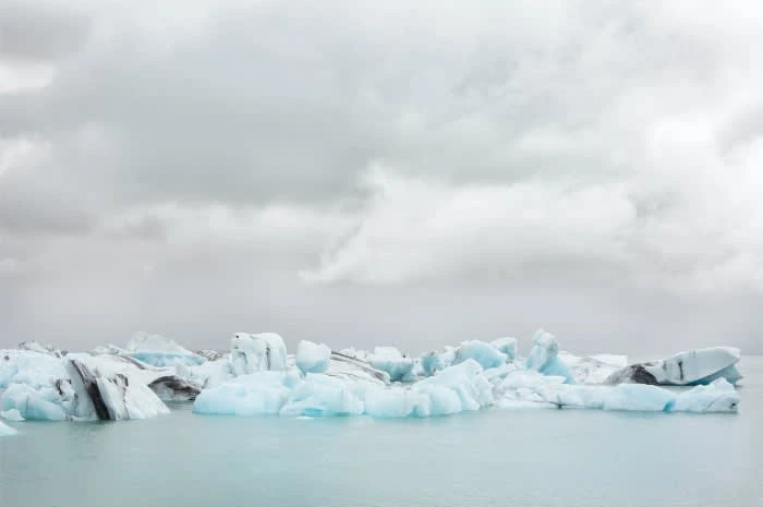 Icebergs float on glacial water under an overcast sky, creating a serene and icy landscape scene with cool tones.