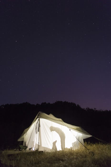 Lit camping tent at night under starry sky. Two figures visible inside tent, next to forest edge. Outdoor camping scene.