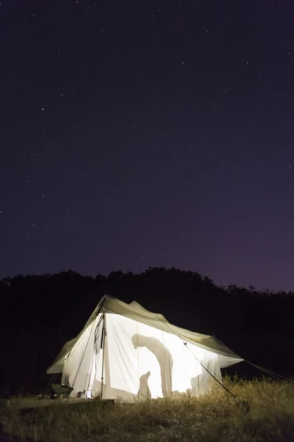 Lit camping tent at night under starry sky. Two figures visible inside tent, next to forest edge. Outdoor camping scene.