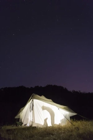 Lit camping tent at night under starry sky. Two figures visible inside tent, next to forest edge. Outdoor camping scene.