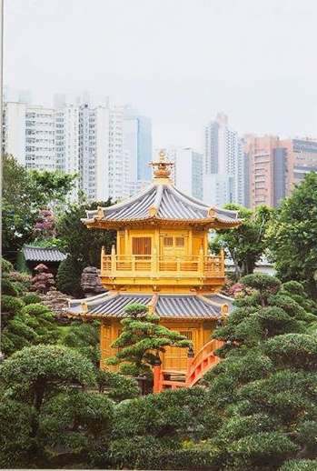 Two-tiered golden pagoda surrounded by trees, set against a backdrop of tall buildings on a cloudy day, creating a serene scene.