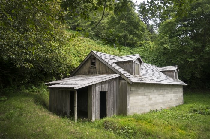 Exterior view of a rustic wooden shed with a gray roof, surrounded by lush greenery and trees in a natural, overgrown environment.