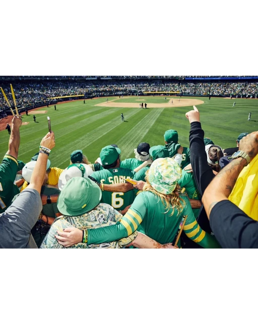 Fans in green and yellow apparel cheer at an outdoor baseball stadium, with a green field and crowds visible under bright sunlight.