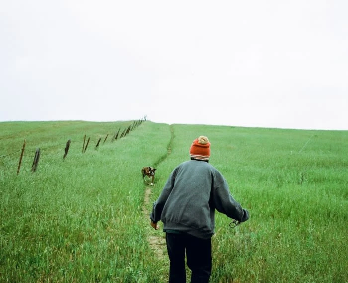 Person walks down a grassy path with a dog under a bright sky. A fence runs parallel to the path on a grassy hill.