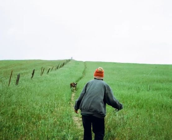 Person walks down a grassy path with a dog under a bright sky. A fence runs parallel to the path on a grassy hill.