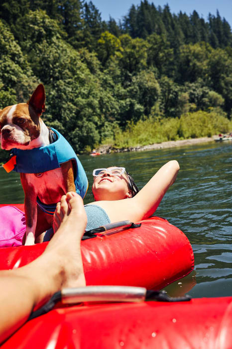 Woman and Boston terrier dog relax on an inflatable tube in a river, backed by a green forest on a sunny day.