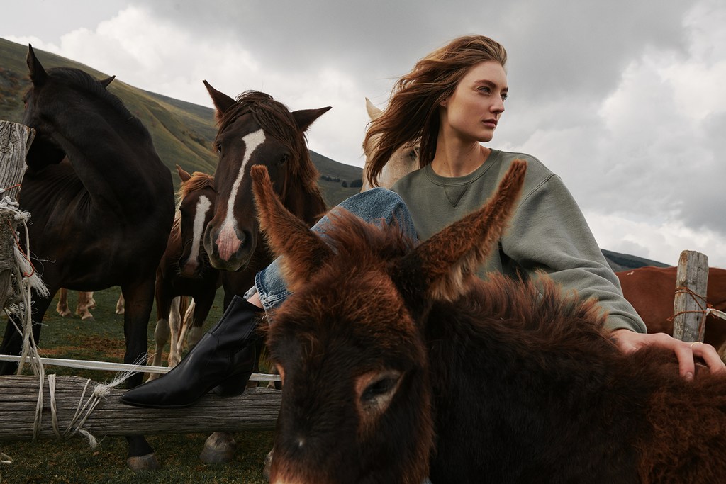Woman in olive sweatshirt sits on a wooden fence surrounded by horses and a donkey with a mountain landscape and cloudy sky.