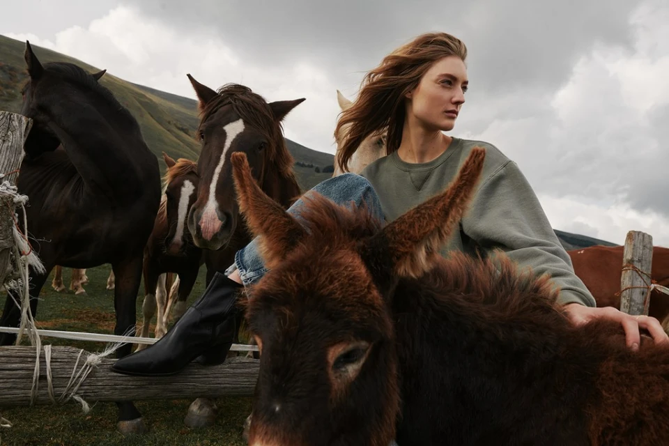 Woman in olive sweatshirt sits on a wooden fence surrounded by horses and a donkey with a mountain landscape and cloudy sky.