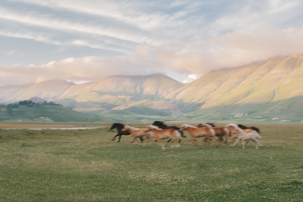 A herd of horses runs across a green field in a blurred motion, with rolling mountains and a cloudy sky in the background. 
