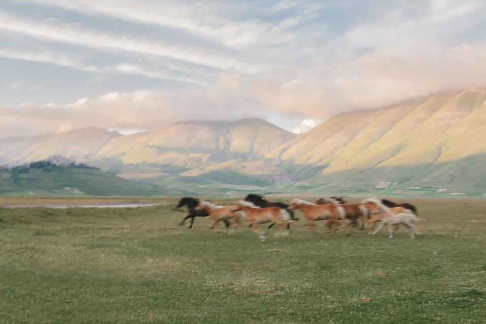 A herd of horses runs across a green field in a blurred motion, with rolling mountains and a cloudy sky in the background. 