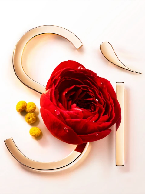 Close-up of a red rose with water droplets, arranged with gold metal arcs and small yellow spheres on a light pink background.