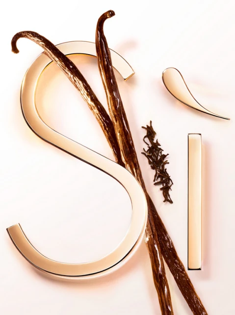 Elegant product photography featuring vanilla beans and decorative golden letters, arranged on a soft gradient pink background to enhance visual appeal.