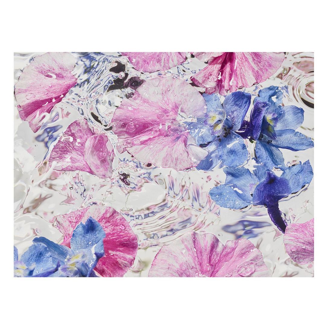 Overhead shot of pink and blue flowers floating on rippled water surface, creating a calming and textured floral water scene.