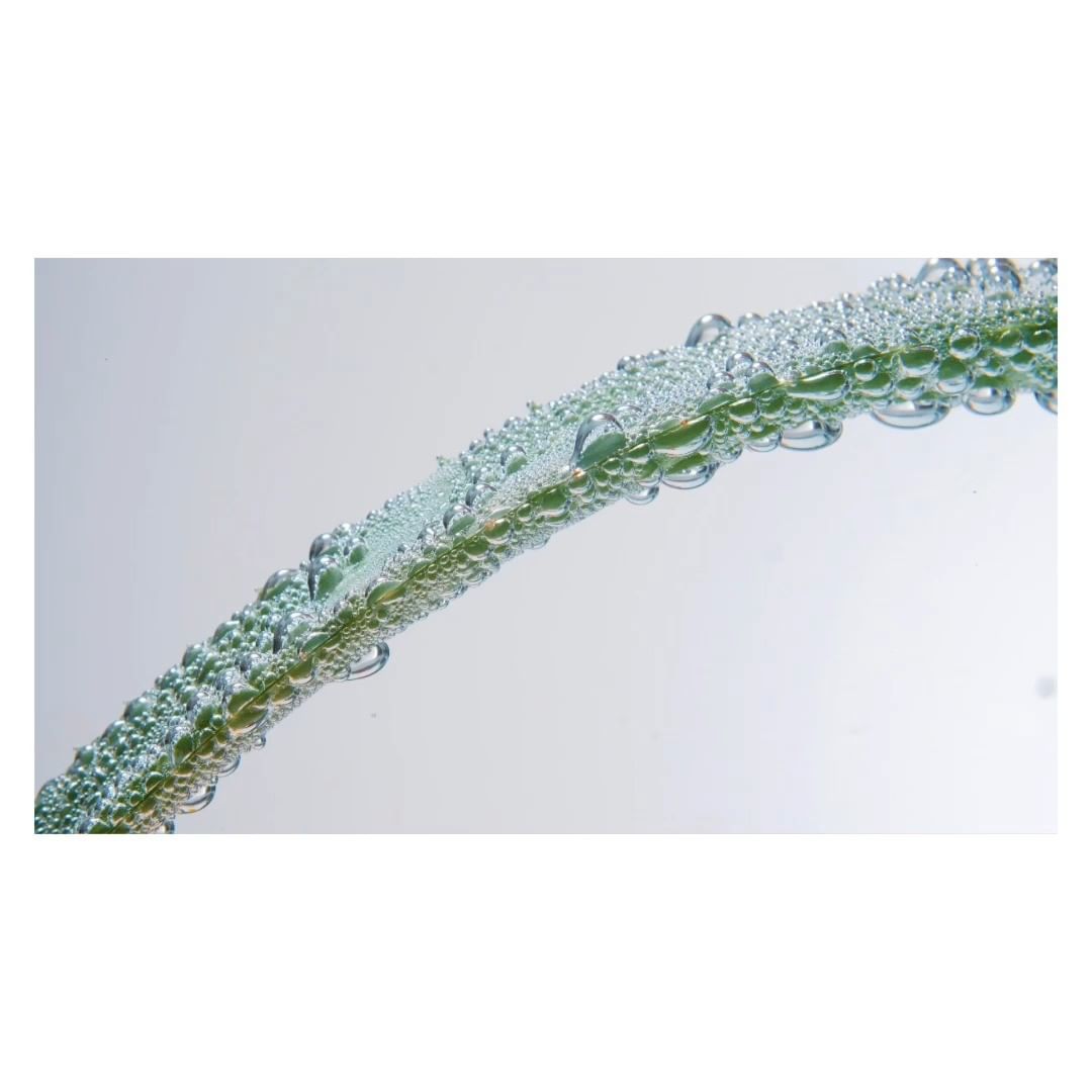 Close-up of a green plant stem covered in water droplets against a light grey background, creating a fresh and clean aesthetic.